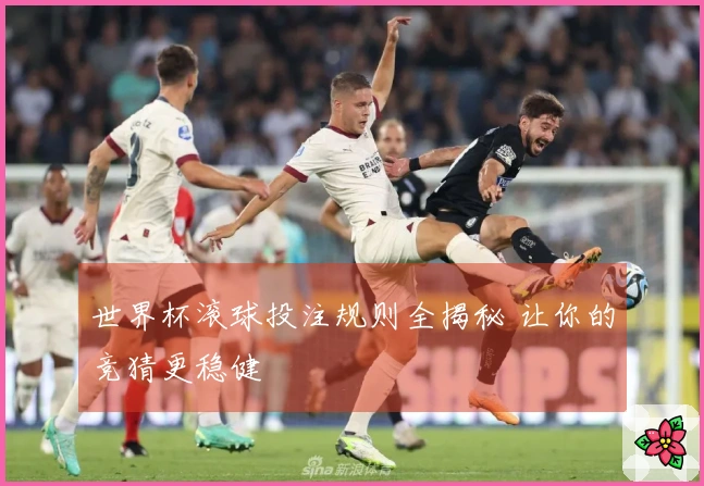 世界杯滚球投注规则全揭秘 让你的竞猜更稳健