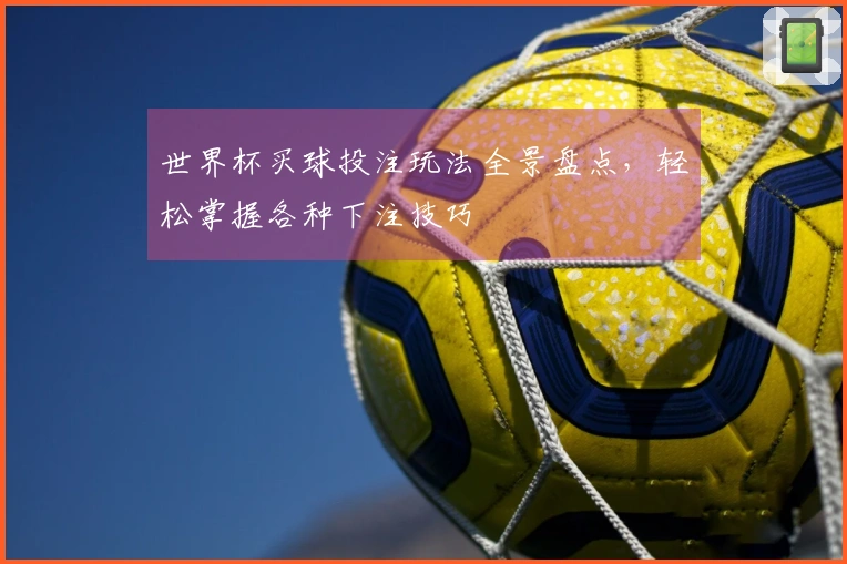 世界杯买球投注玩法全景盘点，轻松掌握各种下注技巧