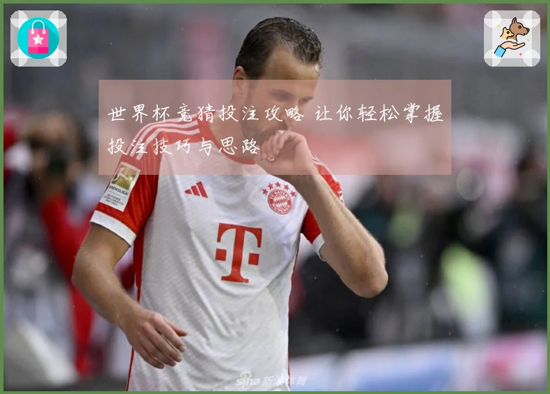 世界杯竞猜投注攻略 让你轻松掌握投注技巧与思路