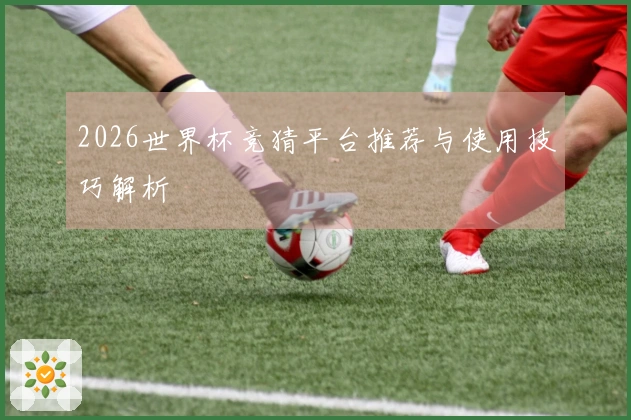 2026世界杯竞猜平台推荐与使用技巧解析