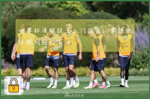 世界杯滚球投注入门指南：掌握玩法规则轻松下注